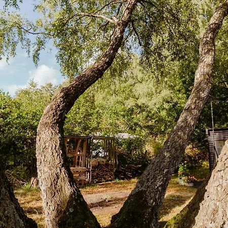 Architect-designed Oasis By Mols Bjerge Ebeltoft
